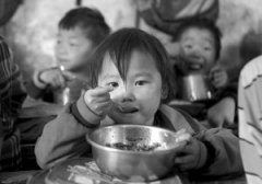 貴州貧困山區(qū)國家營養(yǎng)午餐計劃進入籌備階段(圖