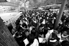 南京8000人新年趕考爭當(dāng)教師